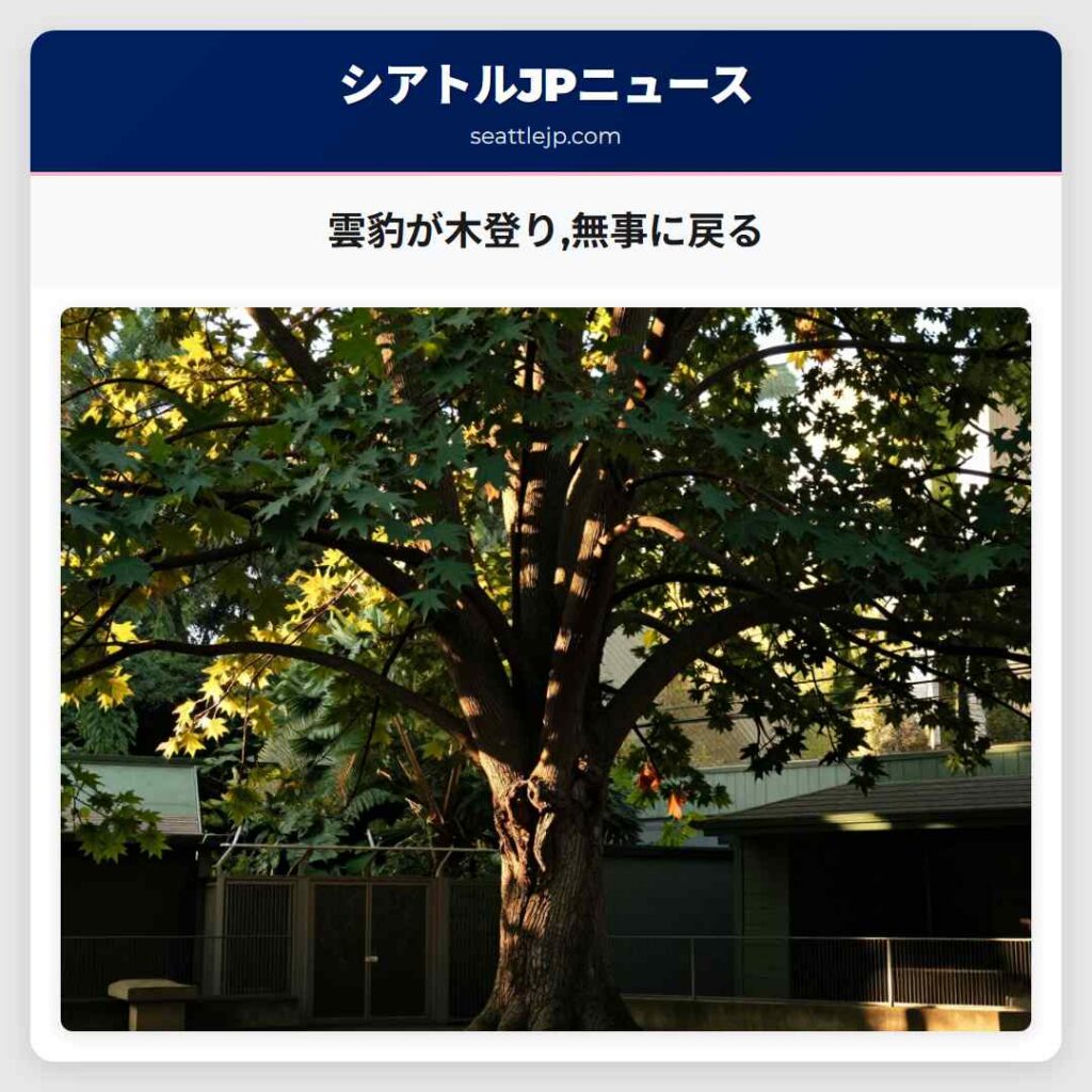 雲豹が木登り,無事に戻る