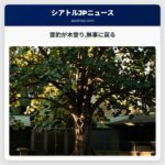雲豹が木登り無事に戻る
