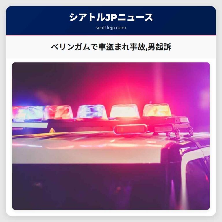 ベリンガムで車盗まれ事故男起訴