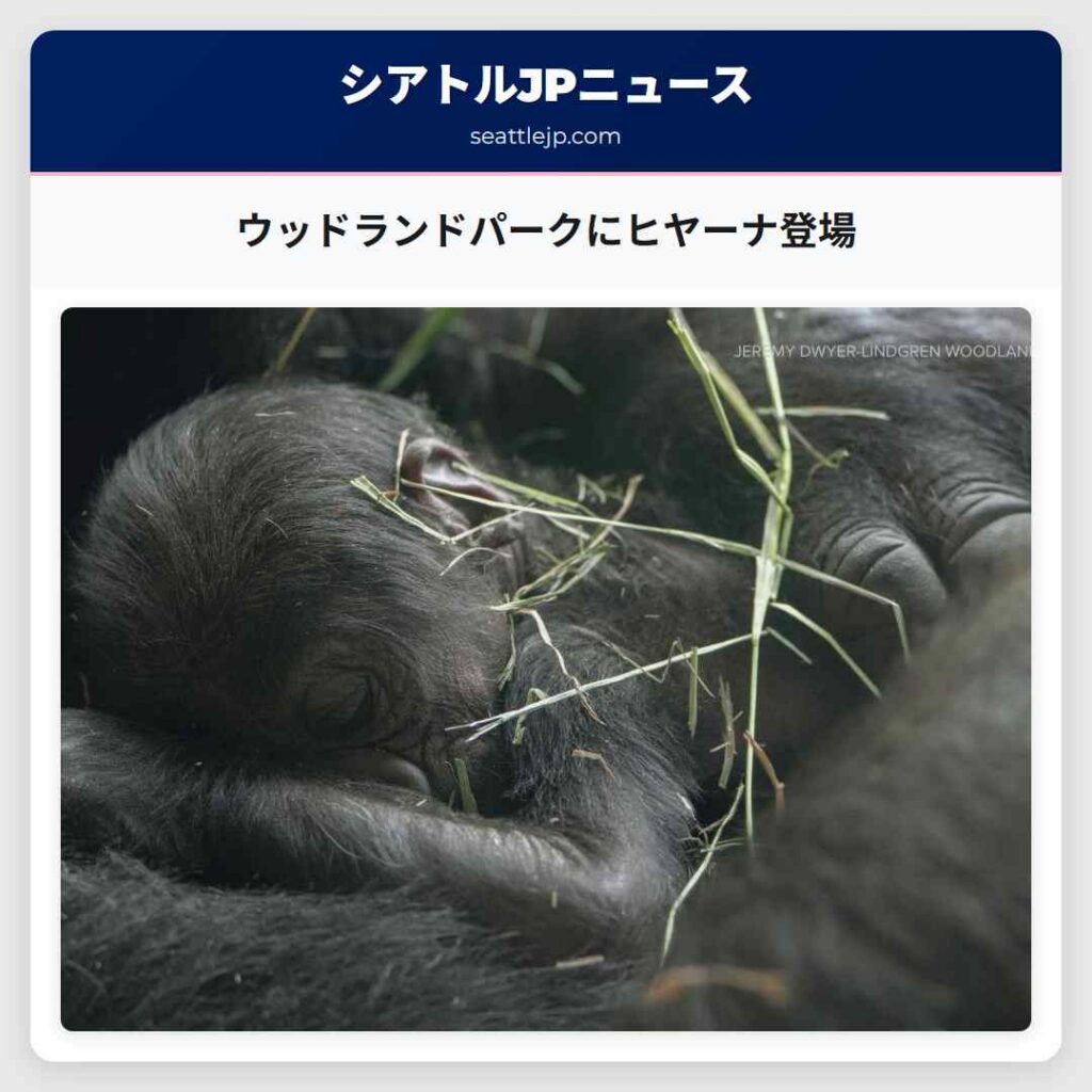 ウッドランドパークにヒヤーナ登場