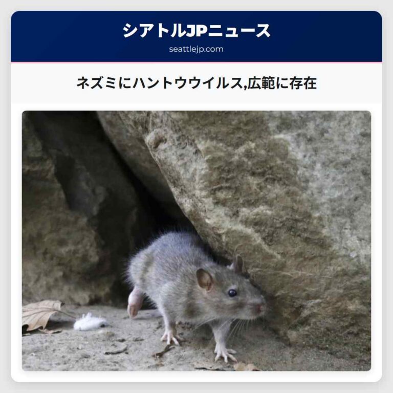 ネズミにハントウウイルス広範に存在