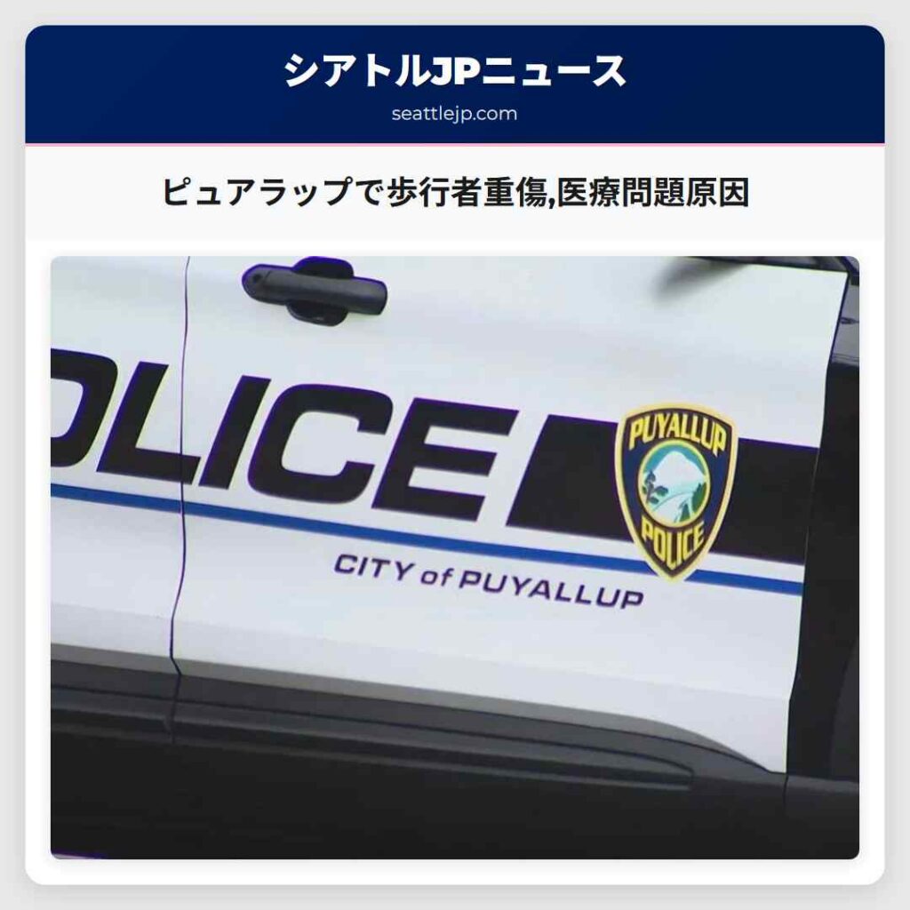 ピュアラップで歩行者重傷,医療問題原因