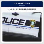 ピュアラップで歩行者重傷医療問題原因