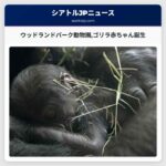 ウッドランドパーク動物園ゴリラ赤ちゃん誕生