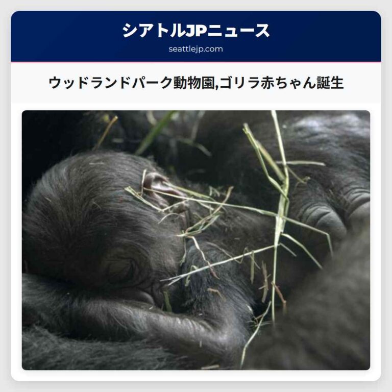 ウッドランドパーク動物園ゴリラ赤ちゃん誕生
