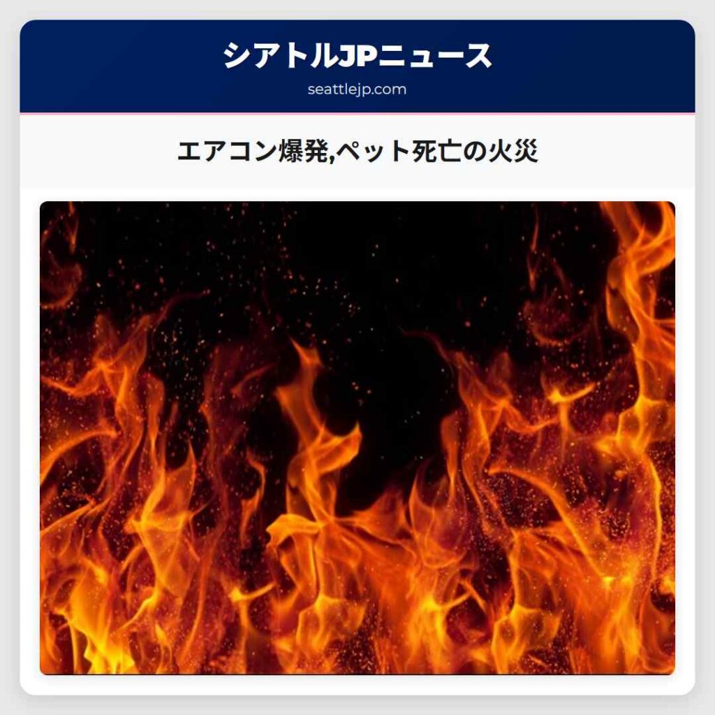 エアコン爆発,ペット死亡の火災