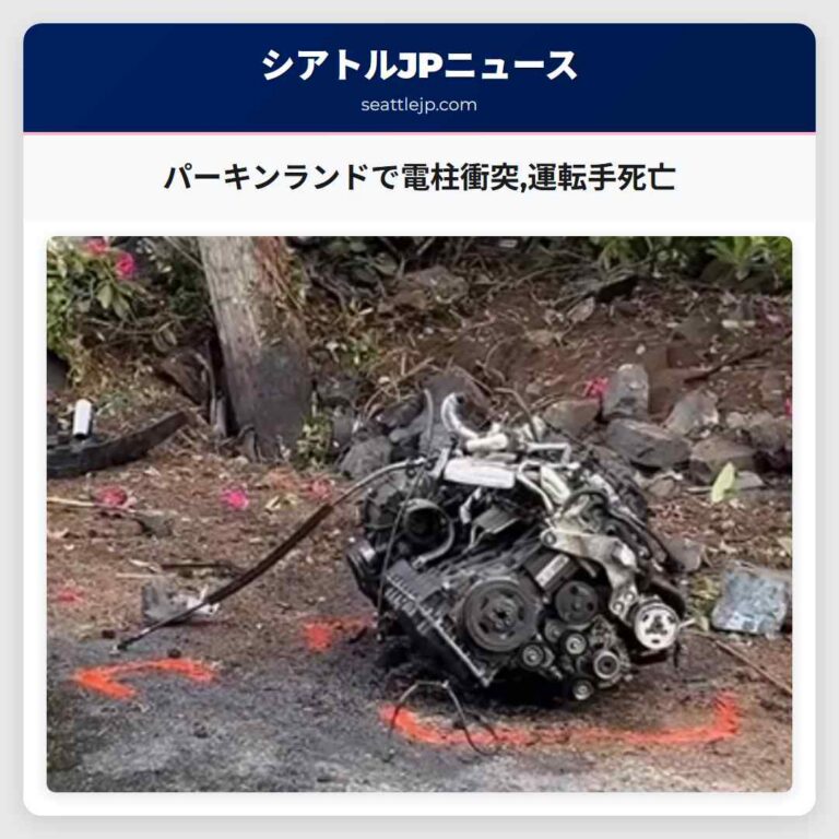 パーキンランドで電柱衝突運転手死亡