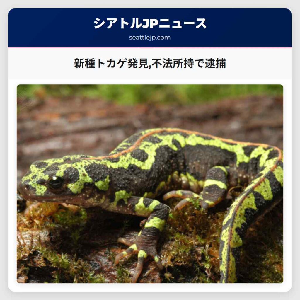 新種トカゲ発見,不法所持で逮捕