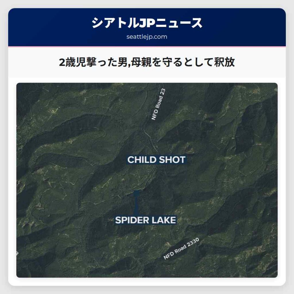 2歳児撃った男,母親を守るとして釈放