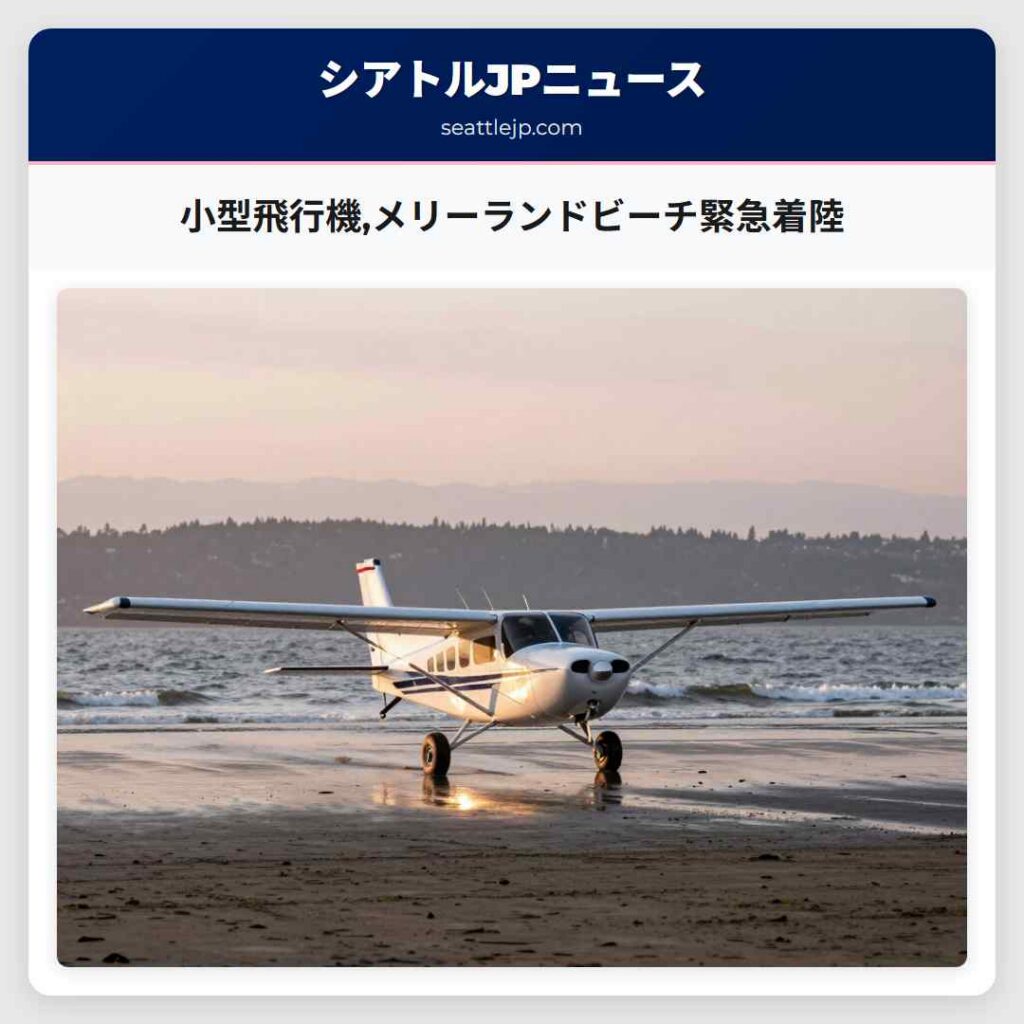 小型飛行機,メリーランドビーチ緊急着陸
