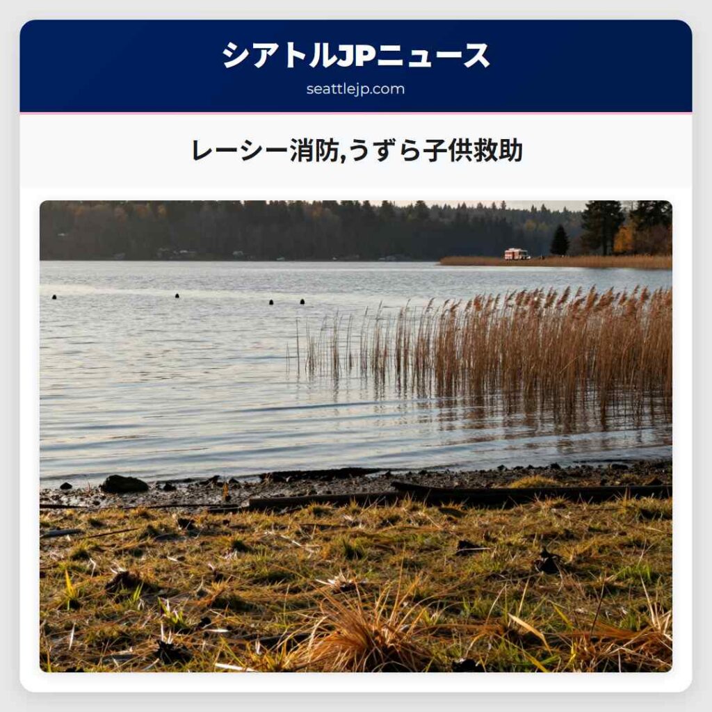 レーシー消防,うずら子供救助
