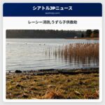 レーシー消防うずら子供救助