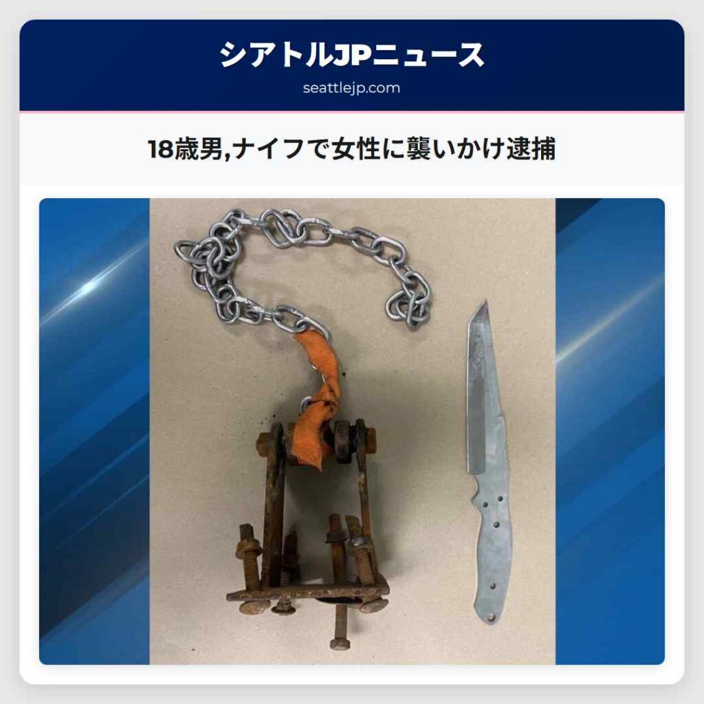 18歳男,ナイフで女性に襲いかけ逮捕