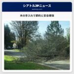 木の手入れで節約と安全確保