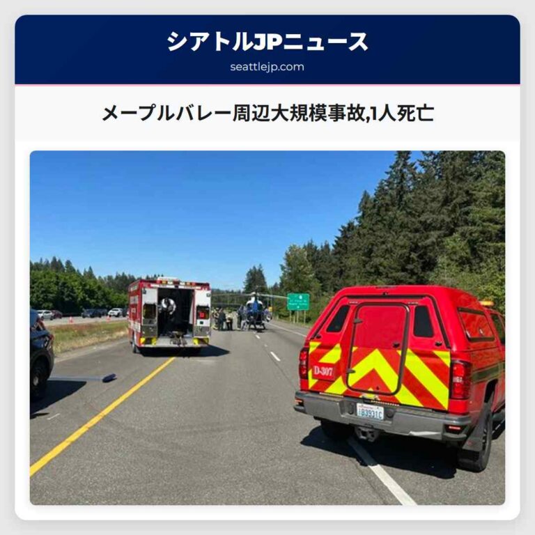 メープルバレー周辺大規模事故1人死亡