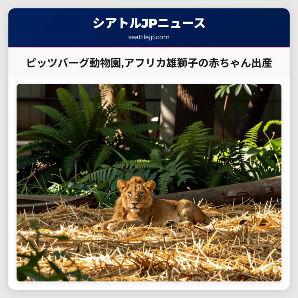 ピッツバーグ動物園,アフリカ雄獅子の赤ちゃん出産