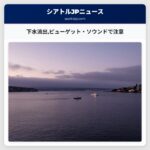 下水流出ピューゲット・ソウンドで注意