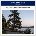 サマミッシュ湖州立公園巨木倒壊6台破壊