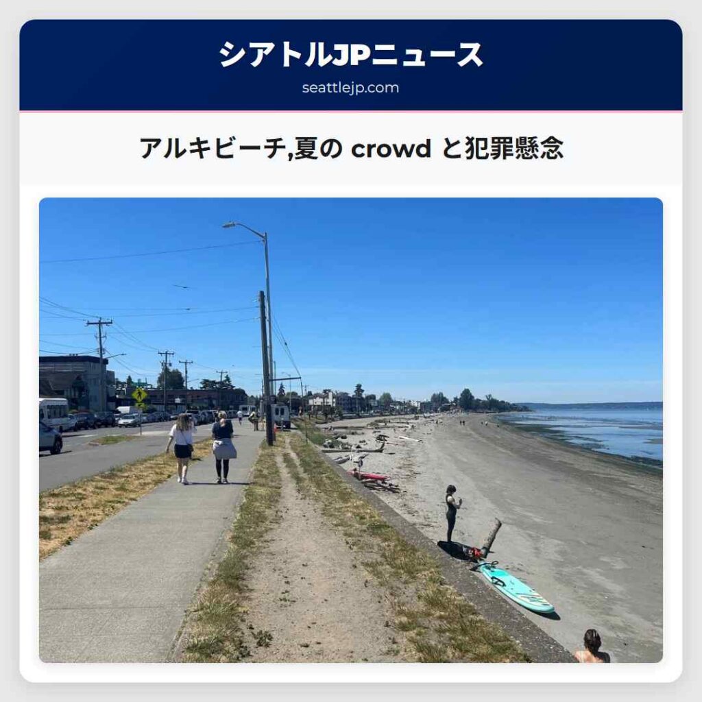 アルキビーチ,夏の crowd と犯罪懸念