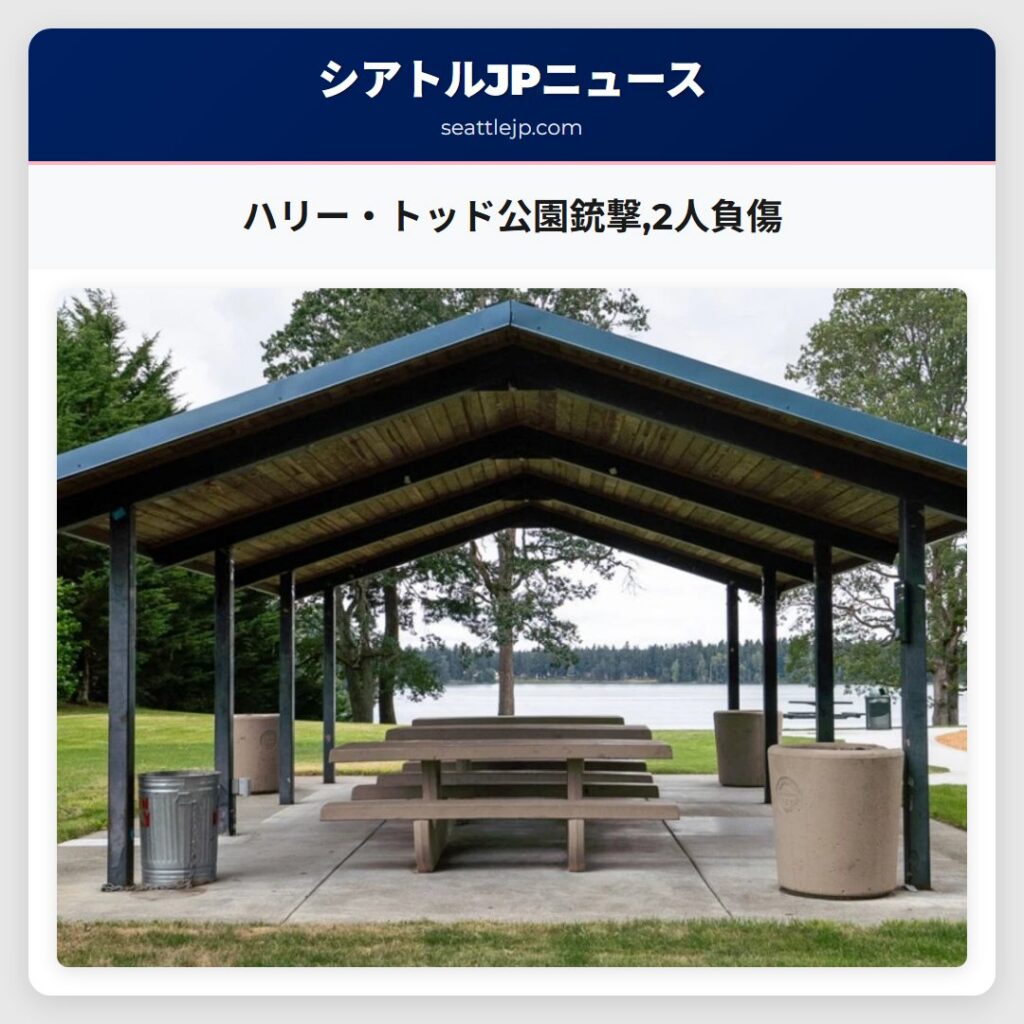ハリー・トッド公園銃撃,2人負傷