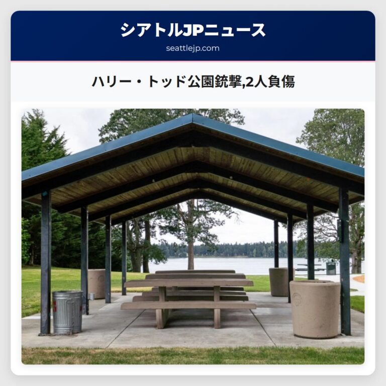 ハリー・トッド公園銃撃2人負傷
