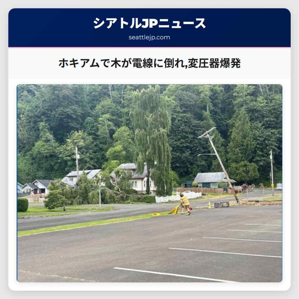 ホキアムで木が電線に倒れ,変圧器爆発