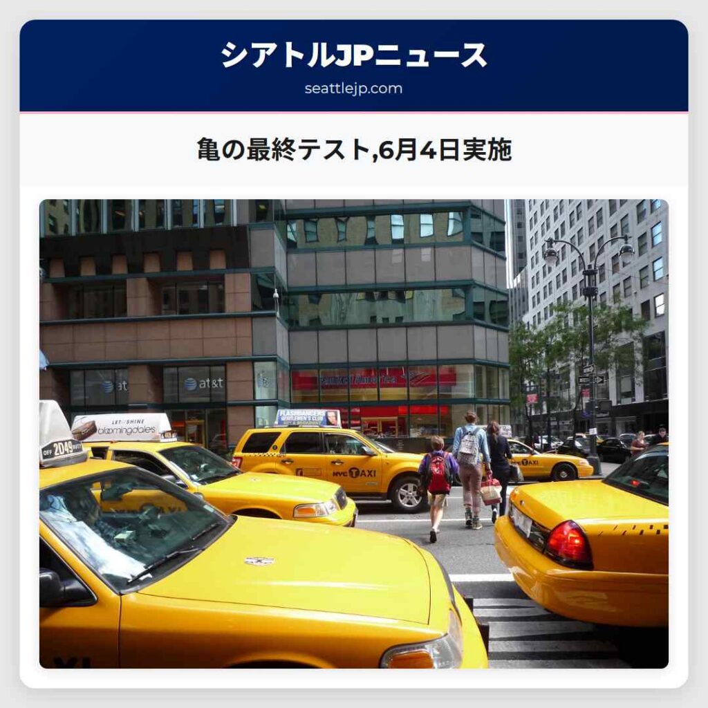 亀の最終テスト,6月4日実施
