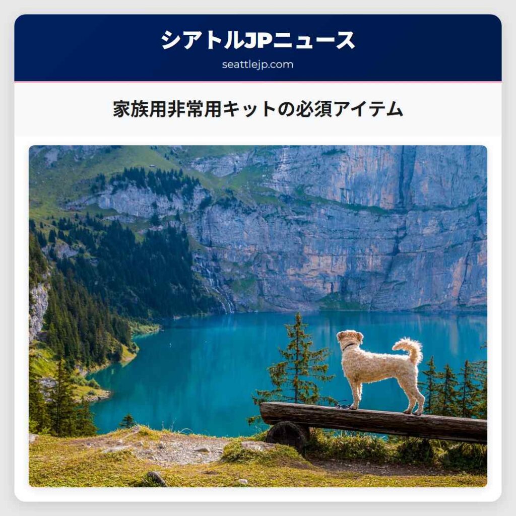 家族用非常用キットの必須アイテム