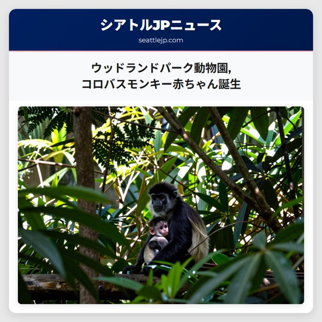 ウッドランドパーク動物園,コロバスモンキー赤ちゃん誕生