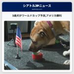 3歳犬がワールドカップ予測アメリカ勝利