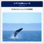 7か月ぶりにハムパク生存確認