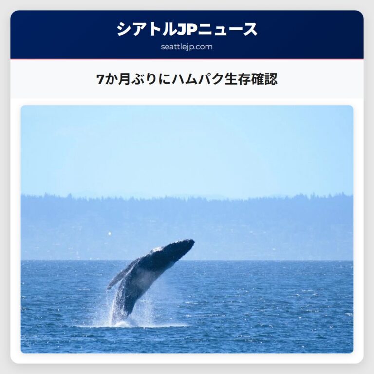 7か月ぶりにハムパク生存確認