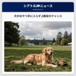 犬がおやつ手に入らず2度目のチャンス