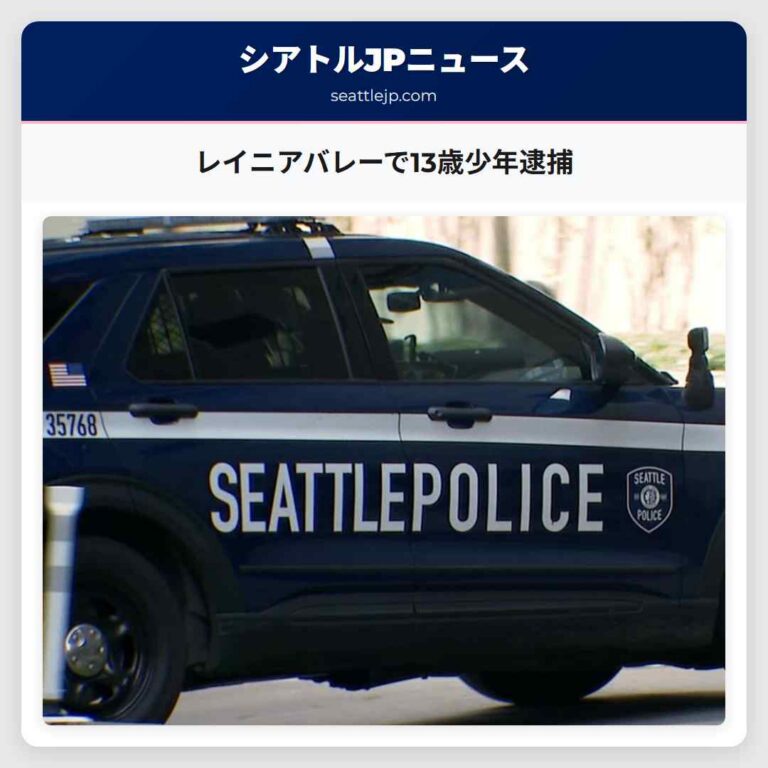 レイニアバレーで13歳少年逮捕