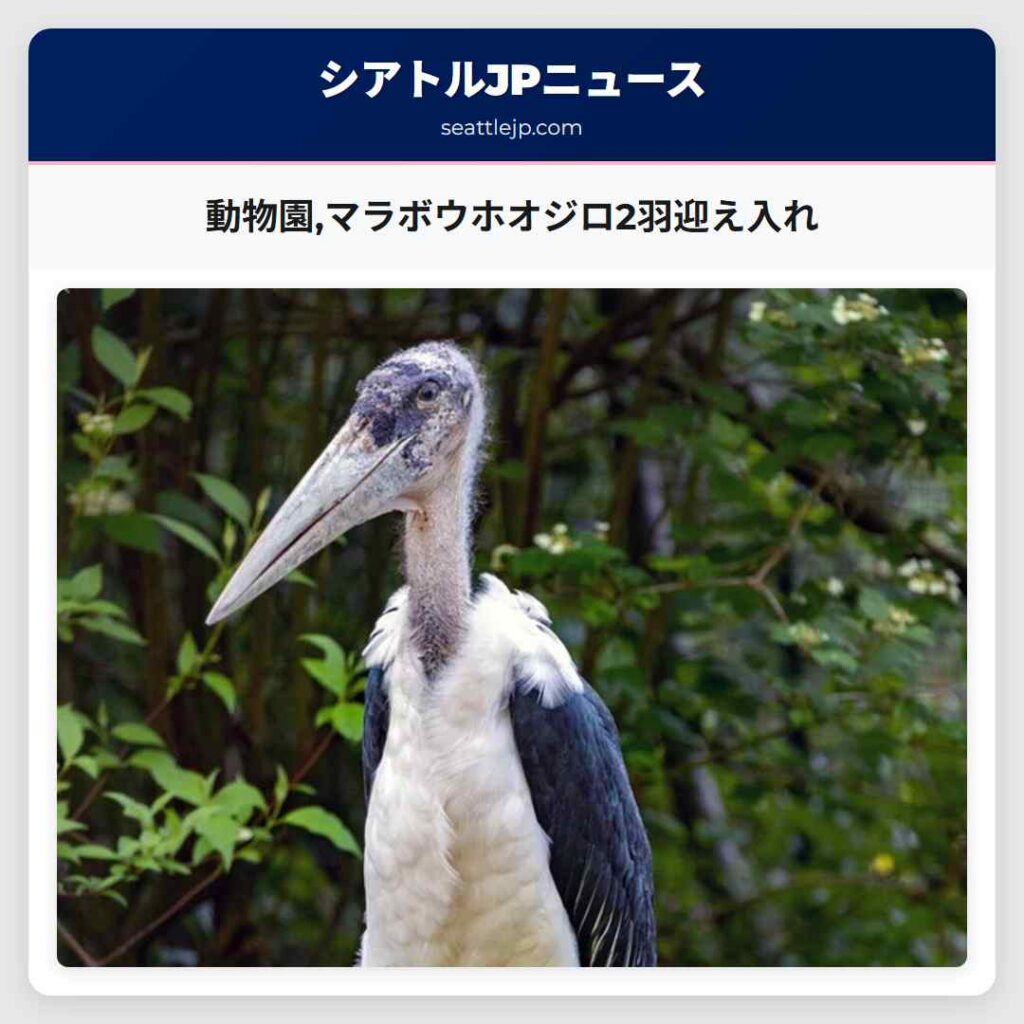動物園,マラボウホオジロ2羽迎え入れ