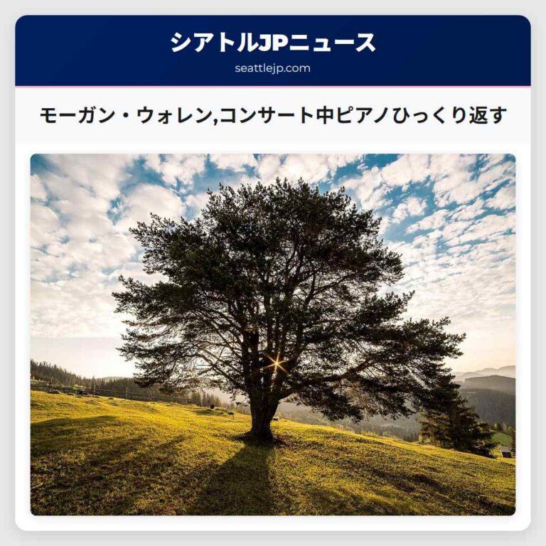 モーガン・ウォレンコンサート中ピアノひっくり返す