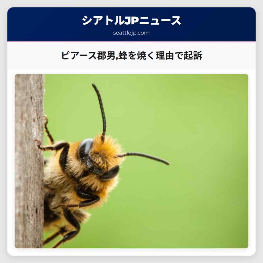 ピアース郡男,蜂を焼く理由で起訴