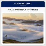 ホルムズ海峡閉鎖続くガソリン価格下落