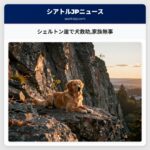 シェルトン崖で犬救助家族無事