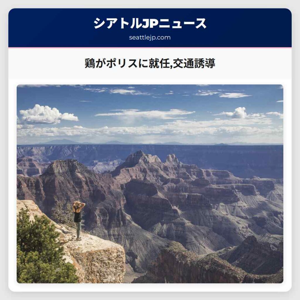 鶏がポリスに就任,交通誘導