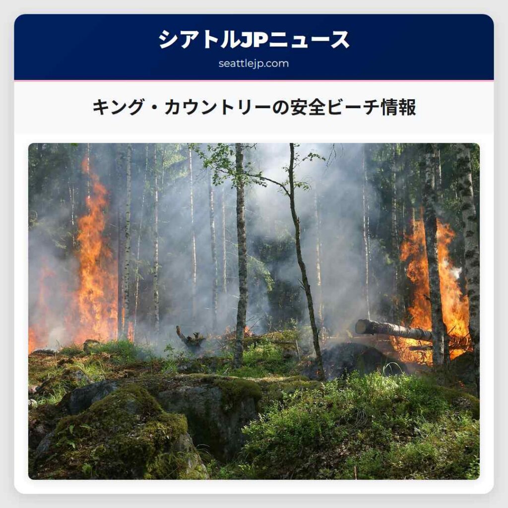 キング・カウントリーの安全ビーチ情報