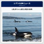 L群赤ちゃん誕生希望の象徴