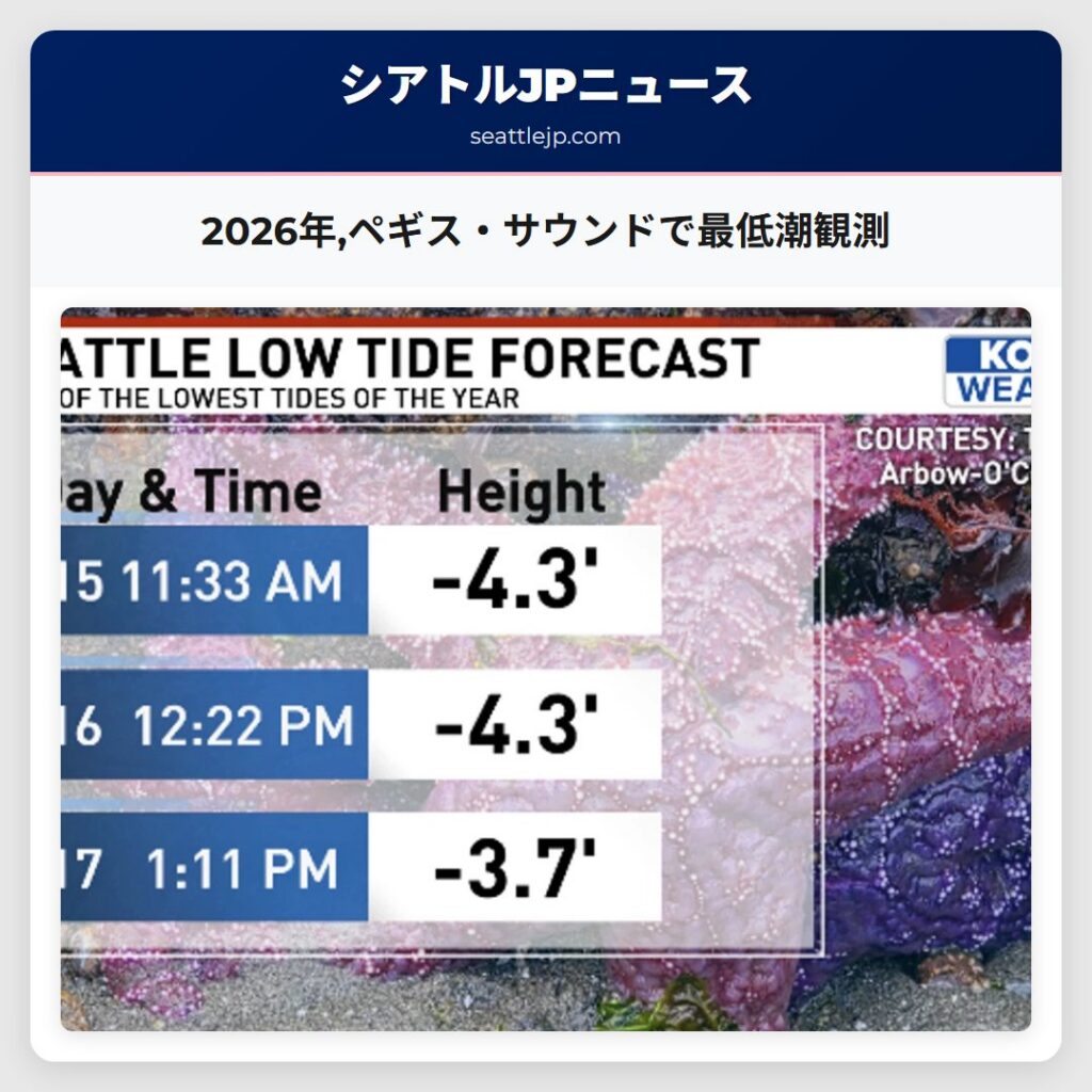 2026年,ペギス・サウンドで最低潮観測