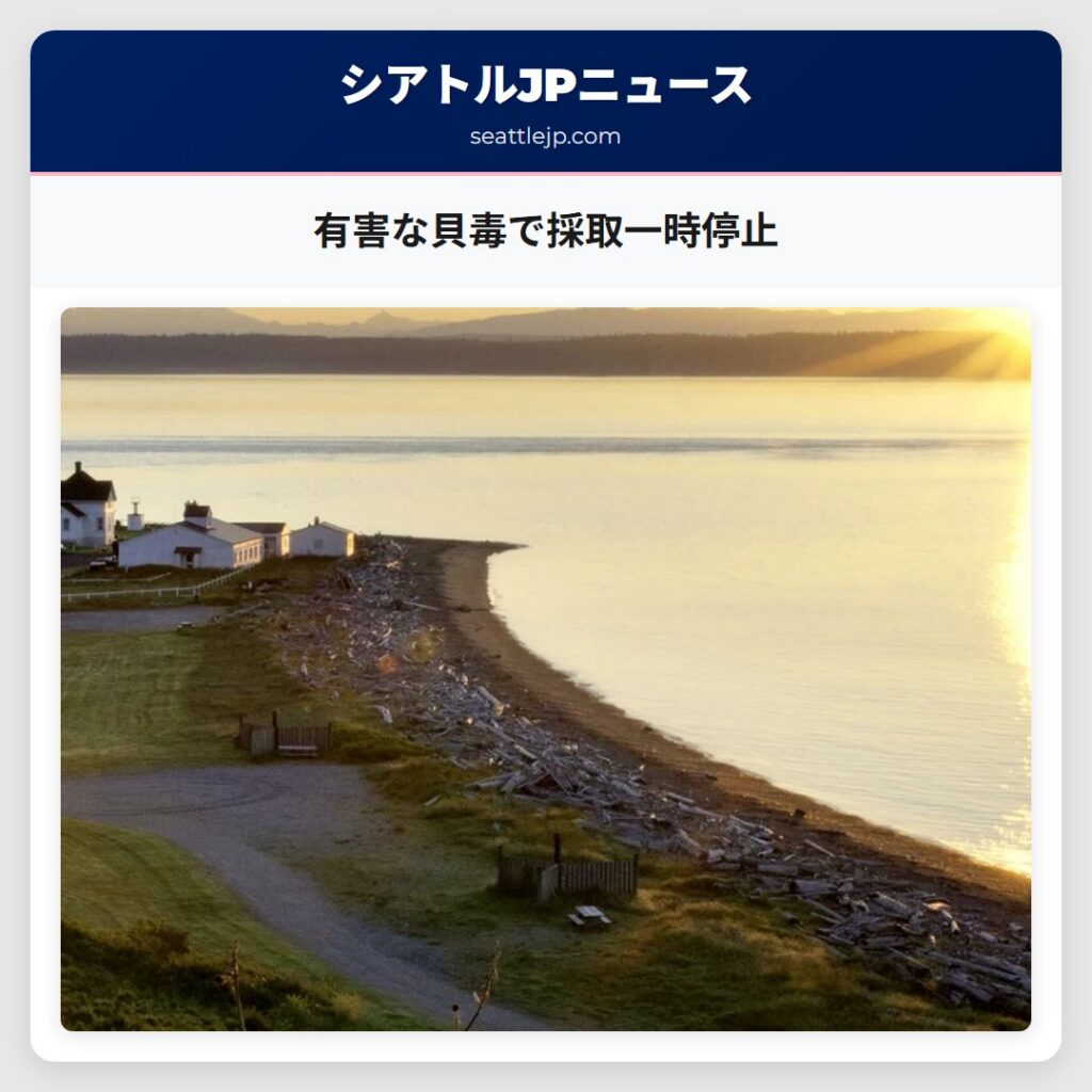 有害な貝毒で採取一時停止