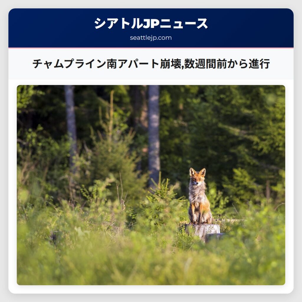 チャムプライン南アパート崩壊,数週間前から進行