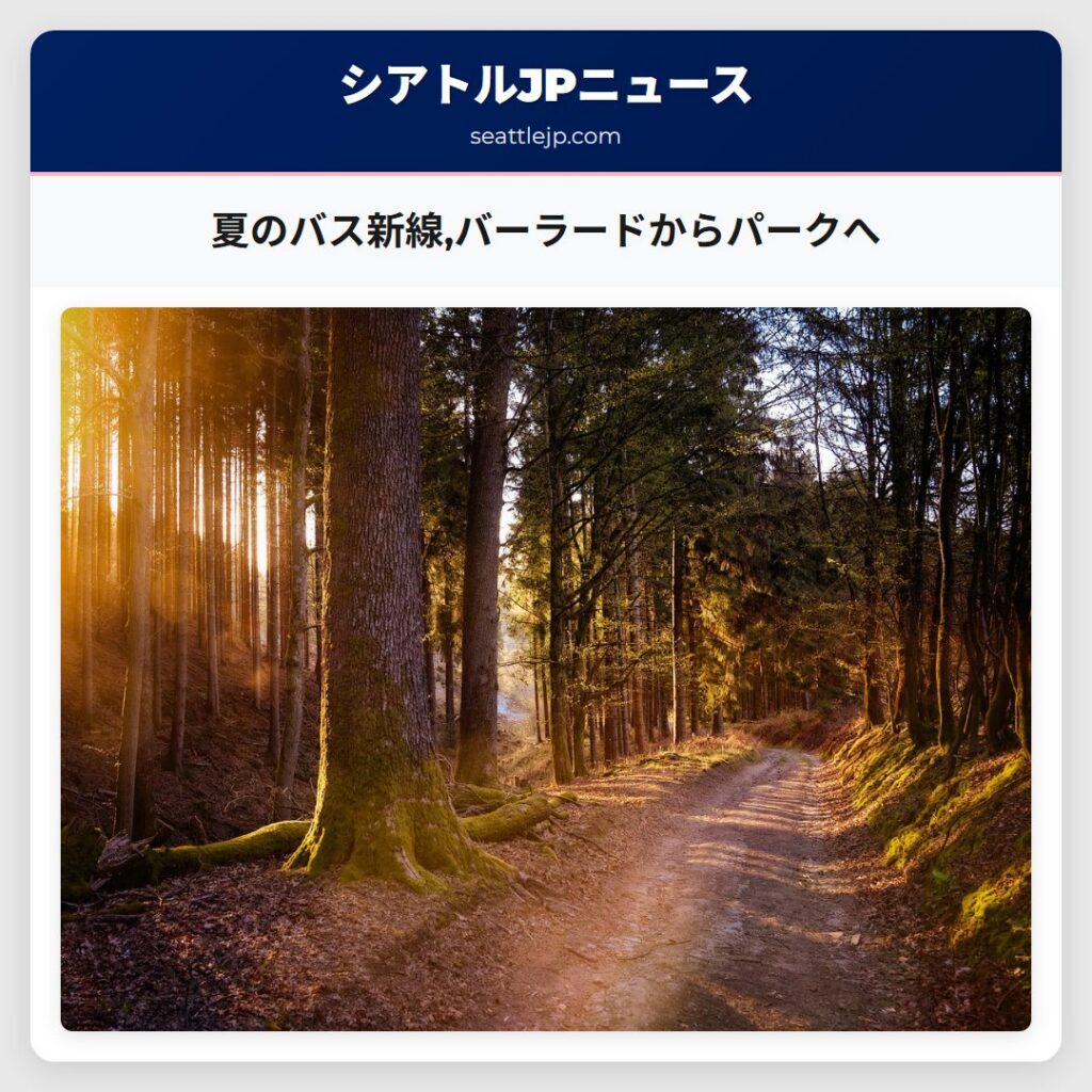 夏のバス新線,バーラードからパークへ