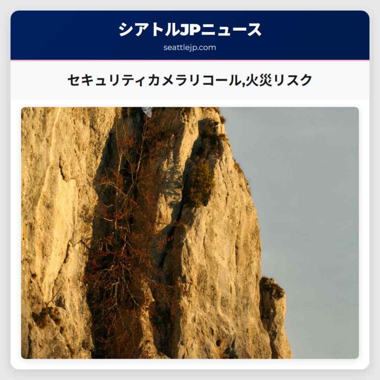 セキュリティカメラリコール火災リスク