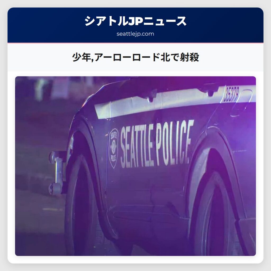 少年,アーローロード北で射殺