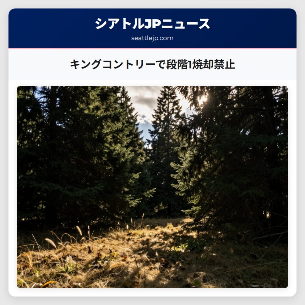 キングコントリーで段階1焼却禁止