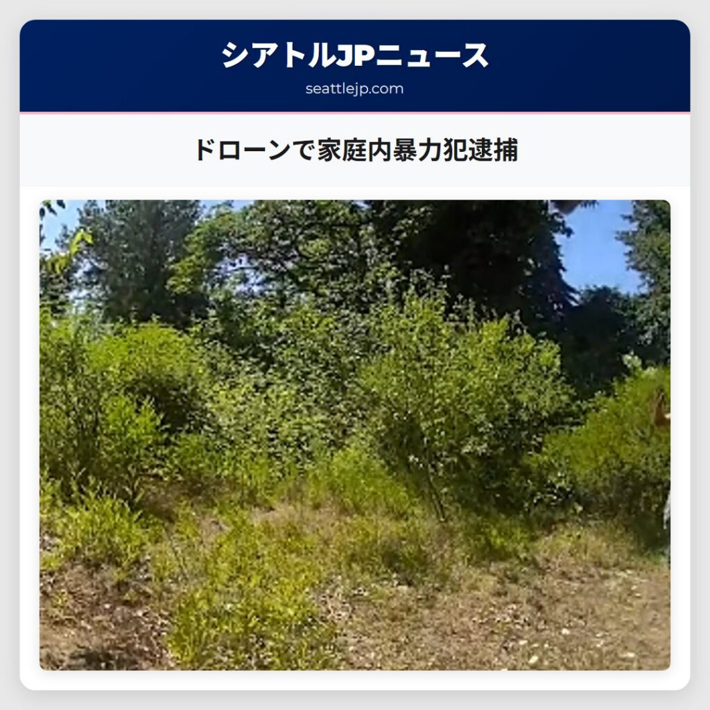 ドローンで家庭内暴力犯逮捕